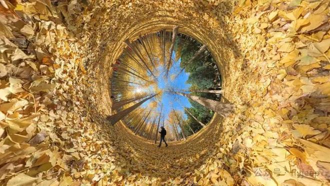 运河玖院)网站-2025新首页欢迎您麻将胡了2模拟器运河玖院-售楼处((图16) 运河玖院)网站-2025新首页欢迎您麻将胡了2模拟器运河玖院-售楼处((图16)